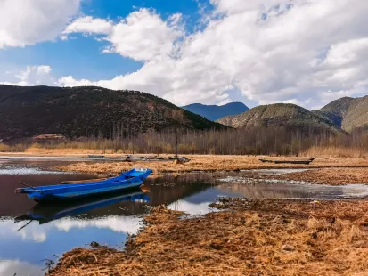 Bobby Casino Farsímaforrit